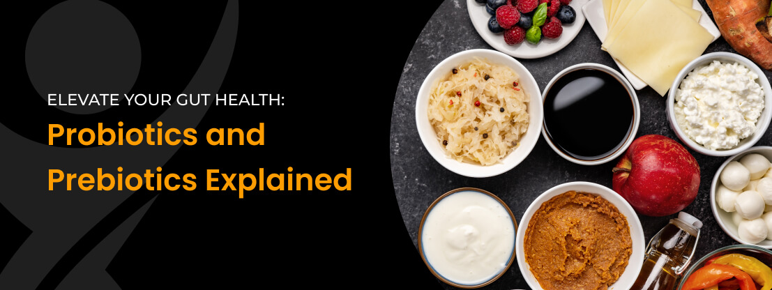 Exploring Prebiotics And Probiotics For Better Gut Health