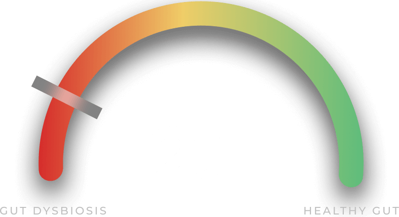 Gut health score